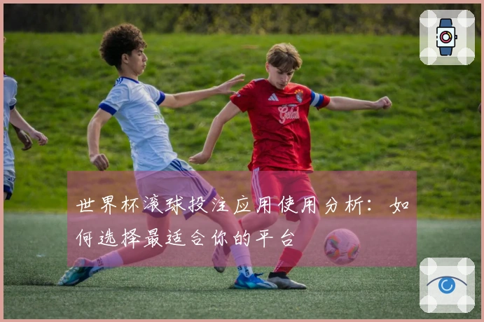 世界杯滚球投注应用使用分析：如何选择最适合你的平台