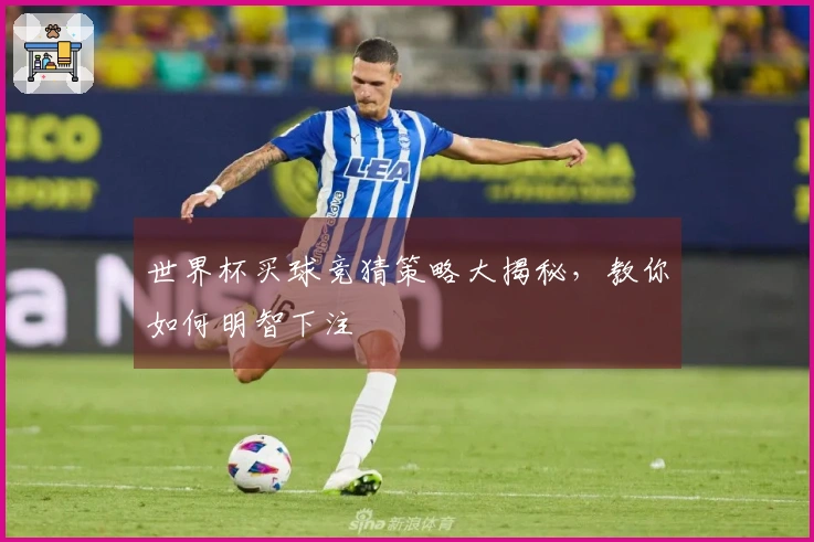 世界杯买球竞猜策略大揭秘，教你如何明智下注