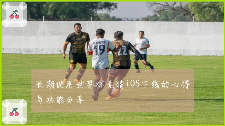 长期使用世界杯竞猜iOS下载的心得与功能分享