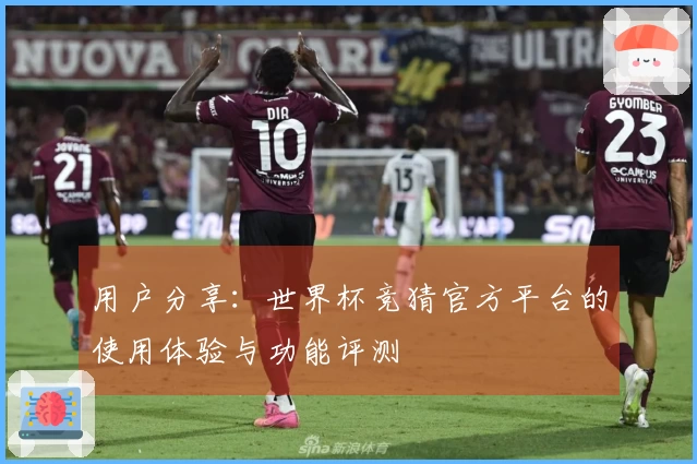 用户分享：世界杯竞猜官方平台的使用体验与功能评测