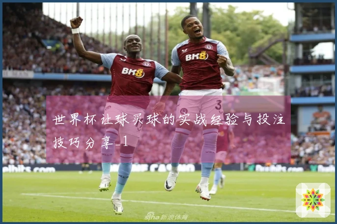 世界杯让球买球的实战经验与投注技巧分享_1