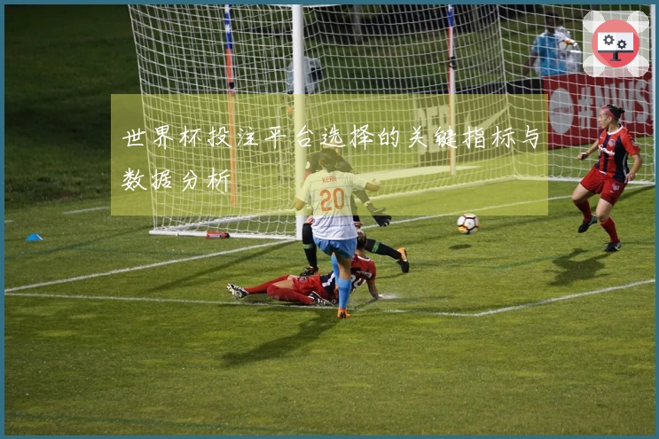 世界杯投注平台选择的关键指标与数据分析