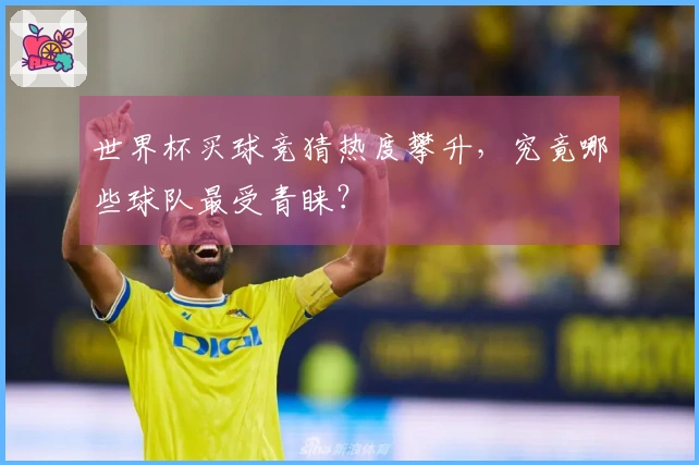 世界杯买球竞猜热度攀升，究竟哪些球队最受青睐？