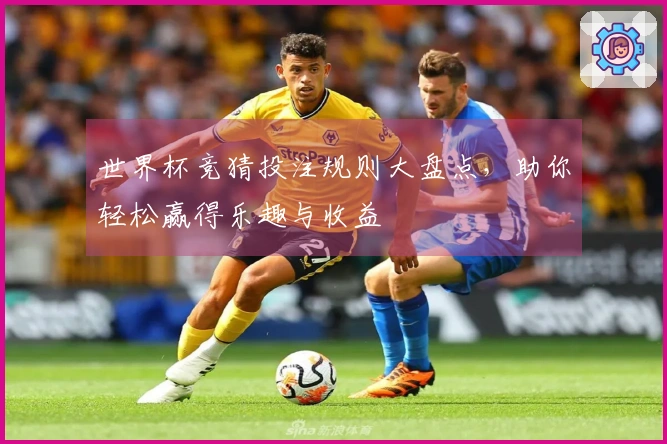 世界杯竞猜投注规则大盘点，助你轻松赢得乐趣与收益