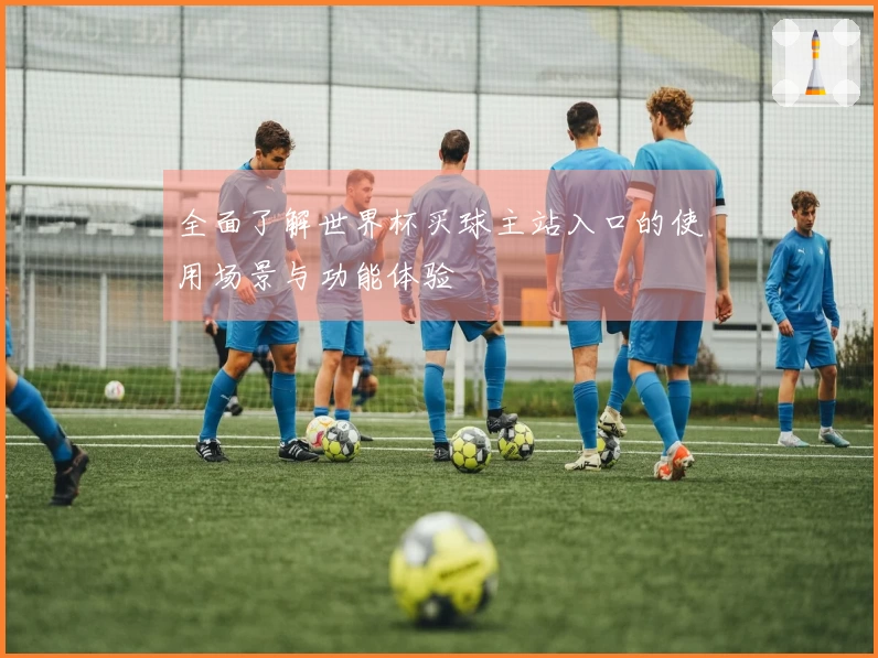 全面了解世界杯买球主站入口的使用场景与功能体验