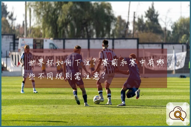 世界杯如何下注？赛前和赛中有哪些不同规则需注意？