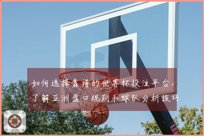 如何选择靠谱的世界杯投注平台,了解亚洲盘口规则和球队分析技巧