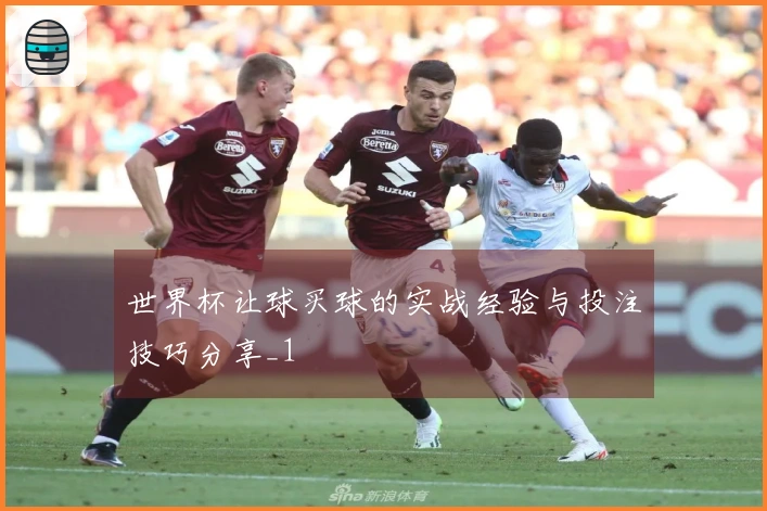 世界杯让球买球的实战经验与投注技巧分享_1