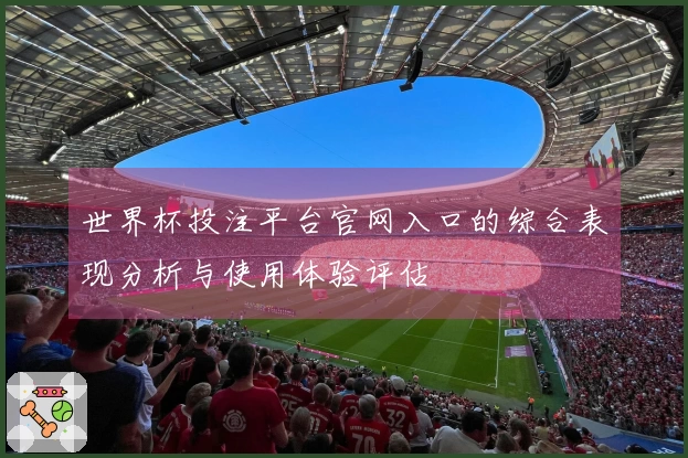 世界杯投注平台官网入口的综合表现分析与使用体验评估