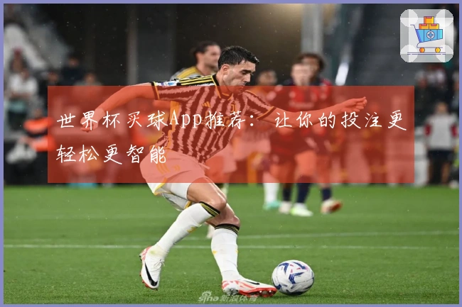 世界杯买球App推荐：让你的投注更轻松更智能