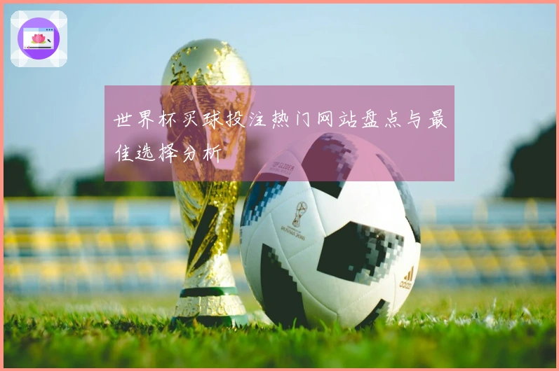 世界杯买球投注热门网站盘点与最佳选择分析