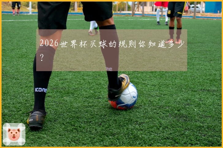 2026世界杯买球的规则你知道多少？