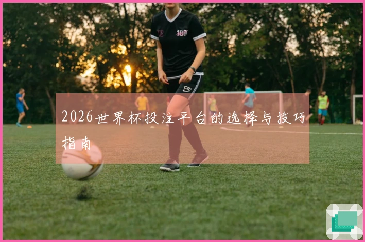 2026世界杯投注平台的选择与技巧指南