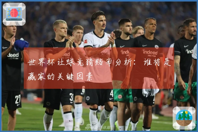 世界杯让球竞猜赔率分析：谁将是赢家的关键因素