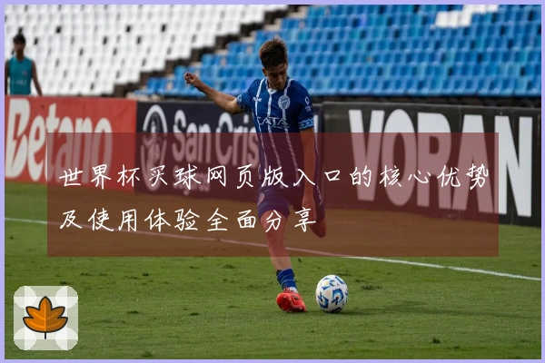 世界杯买球网页版入口的核心优势及使用体验全面分享