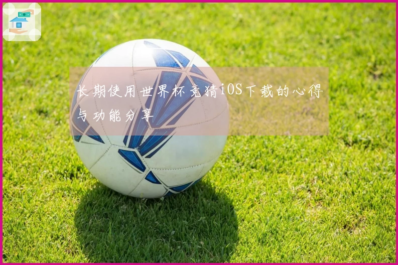 长期使用世界杯竞猜iOS下载的心得与功能分享