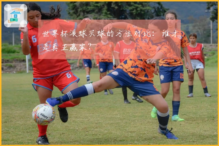 世界杯滚球买球的方法对比：谁才是真正赢家？