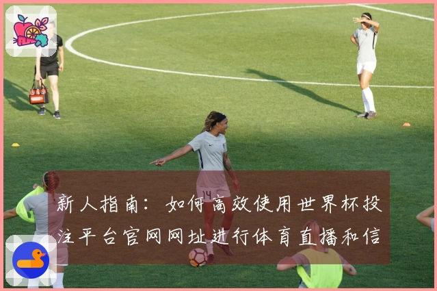 新人指南：如何高效使用世界杯投注平台官网网址进行体育直播和信息查询