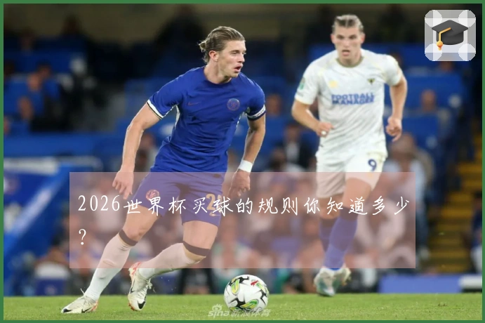 2026世界杯买球的规则你知道多少？